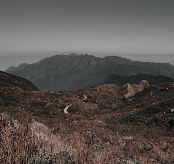 Pic1